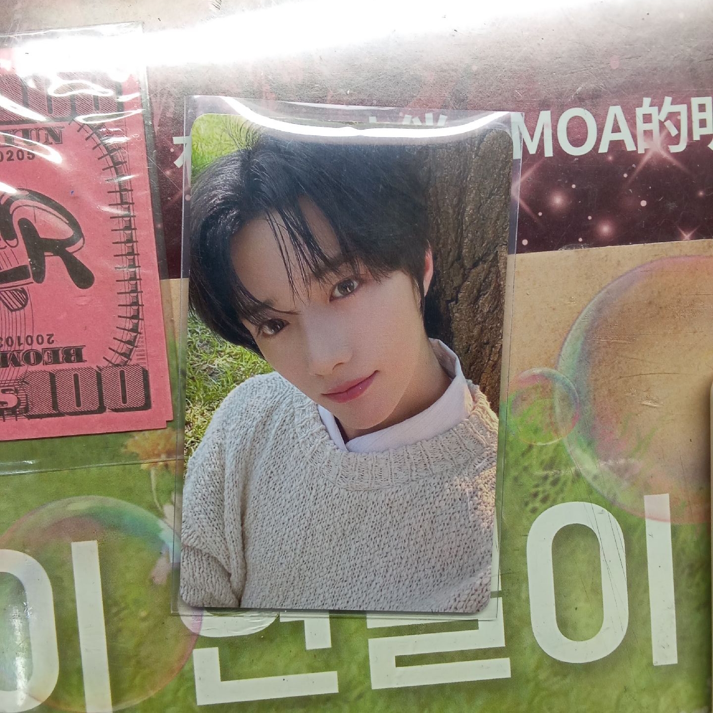 日巡圭粽卡 可售也可換F圭