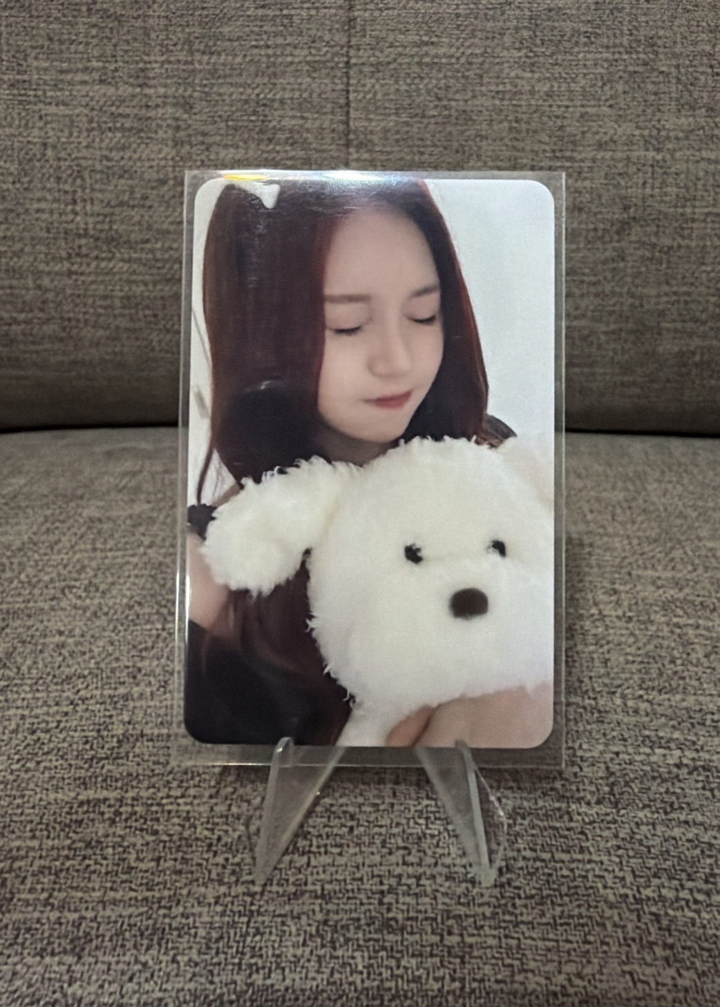 VIVIZ 狗狗智 含正一未拆專