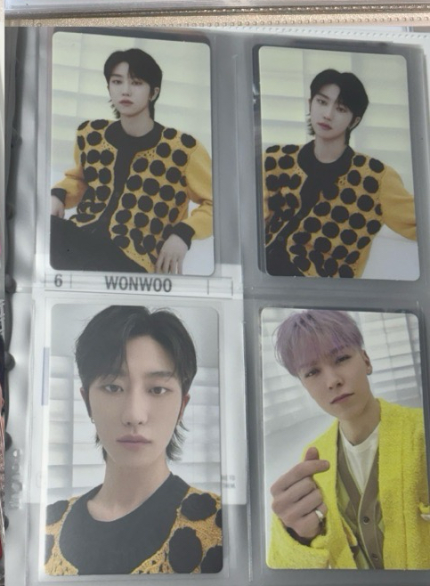 圓+4張follow隨機卡