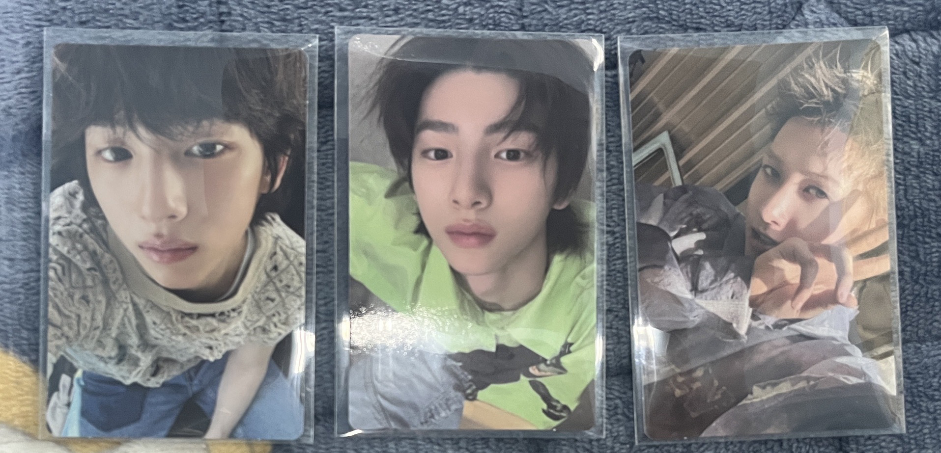 金主訓專卡➕wvs特典➕馬丁專卡