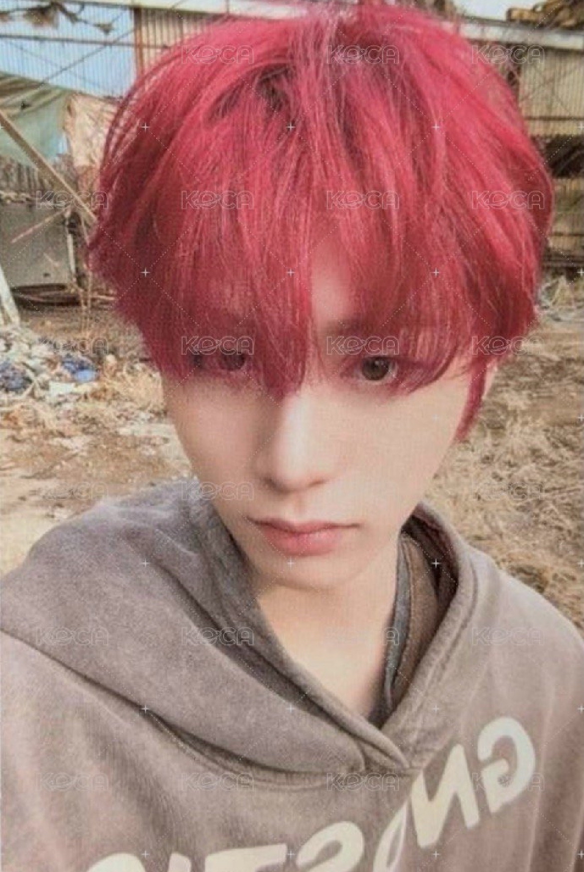 ❤️No Genre 專輯卡 Board Game ver.4