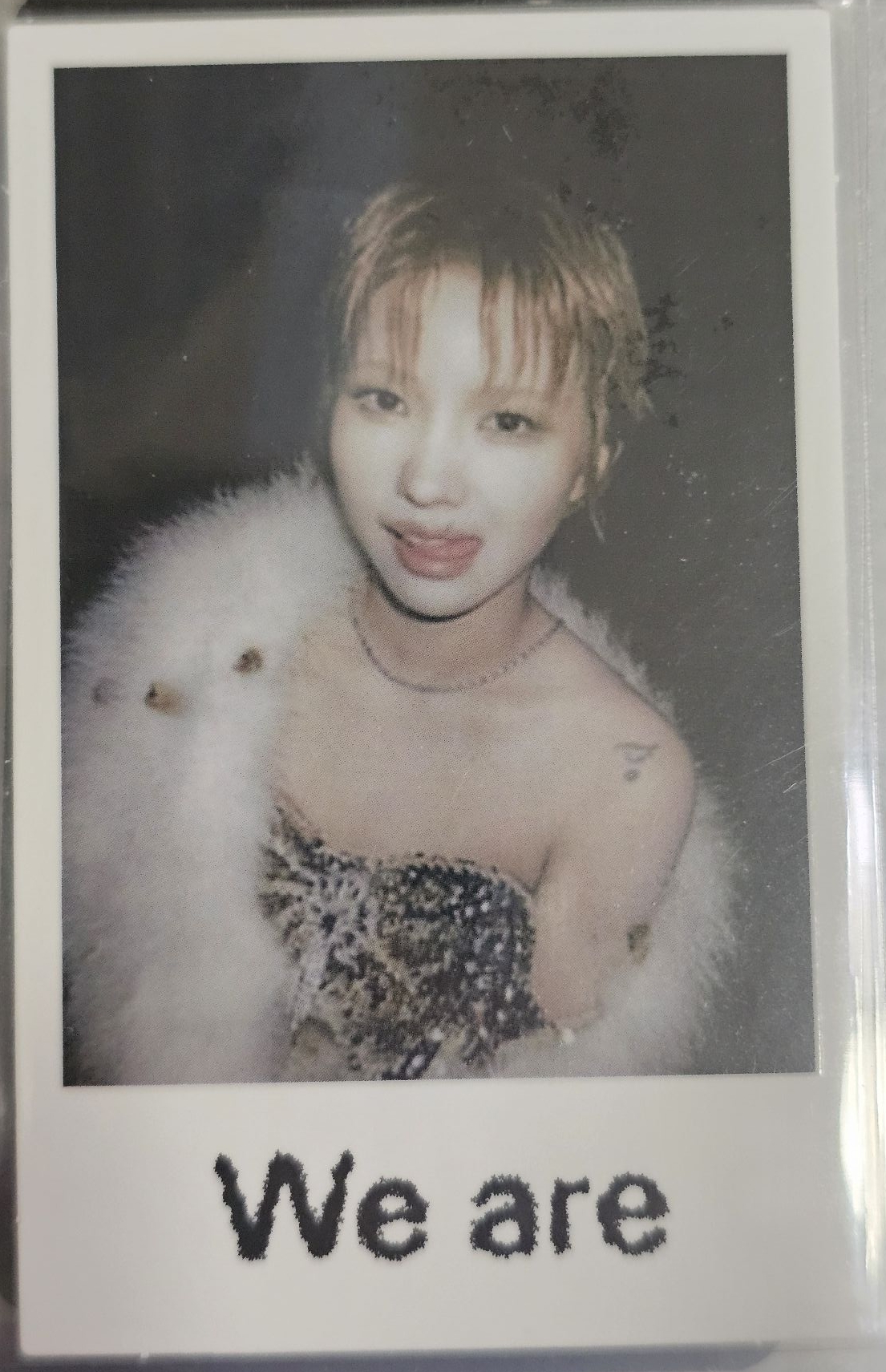 小娟 WVS早鳥特典