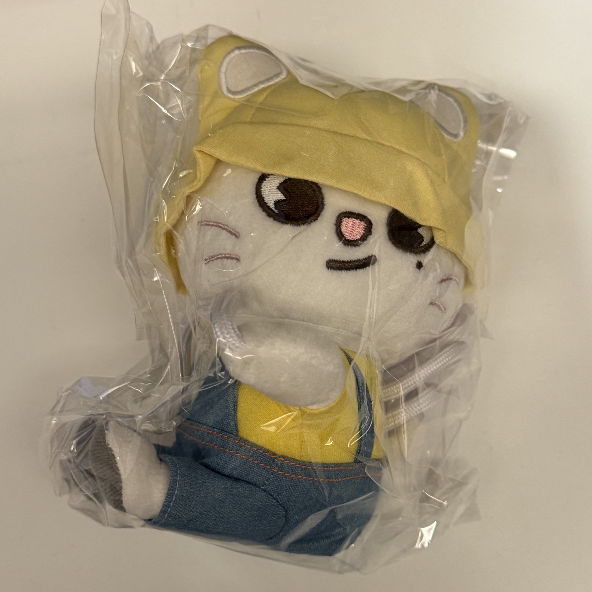 幼兒園掛繩娃 辰