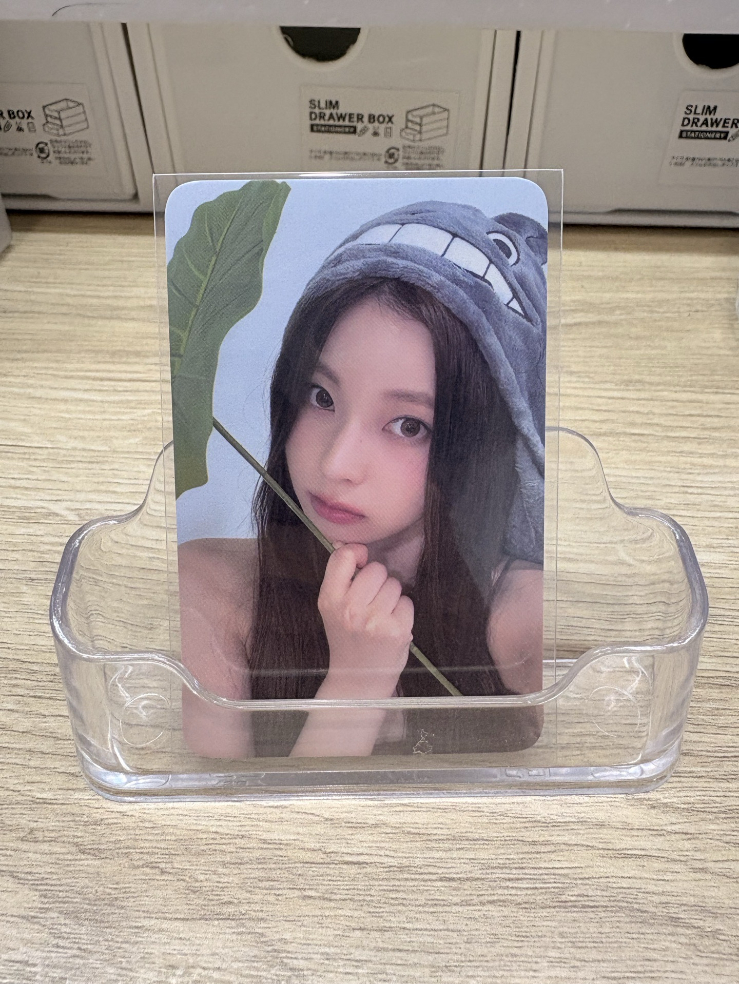 仲夏夜 el 線下 1.0 簽售卡 龍貓