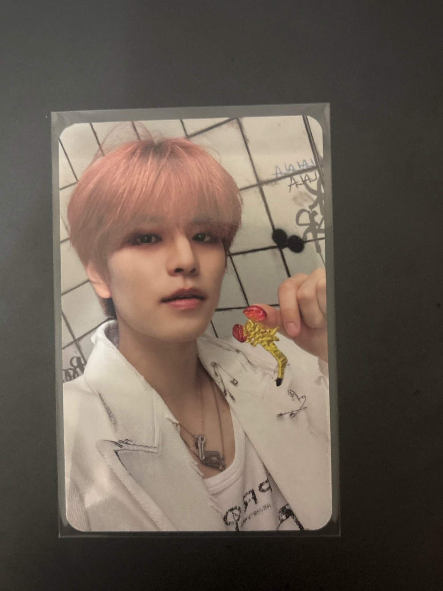 橘髮帥哥拿龍蝦