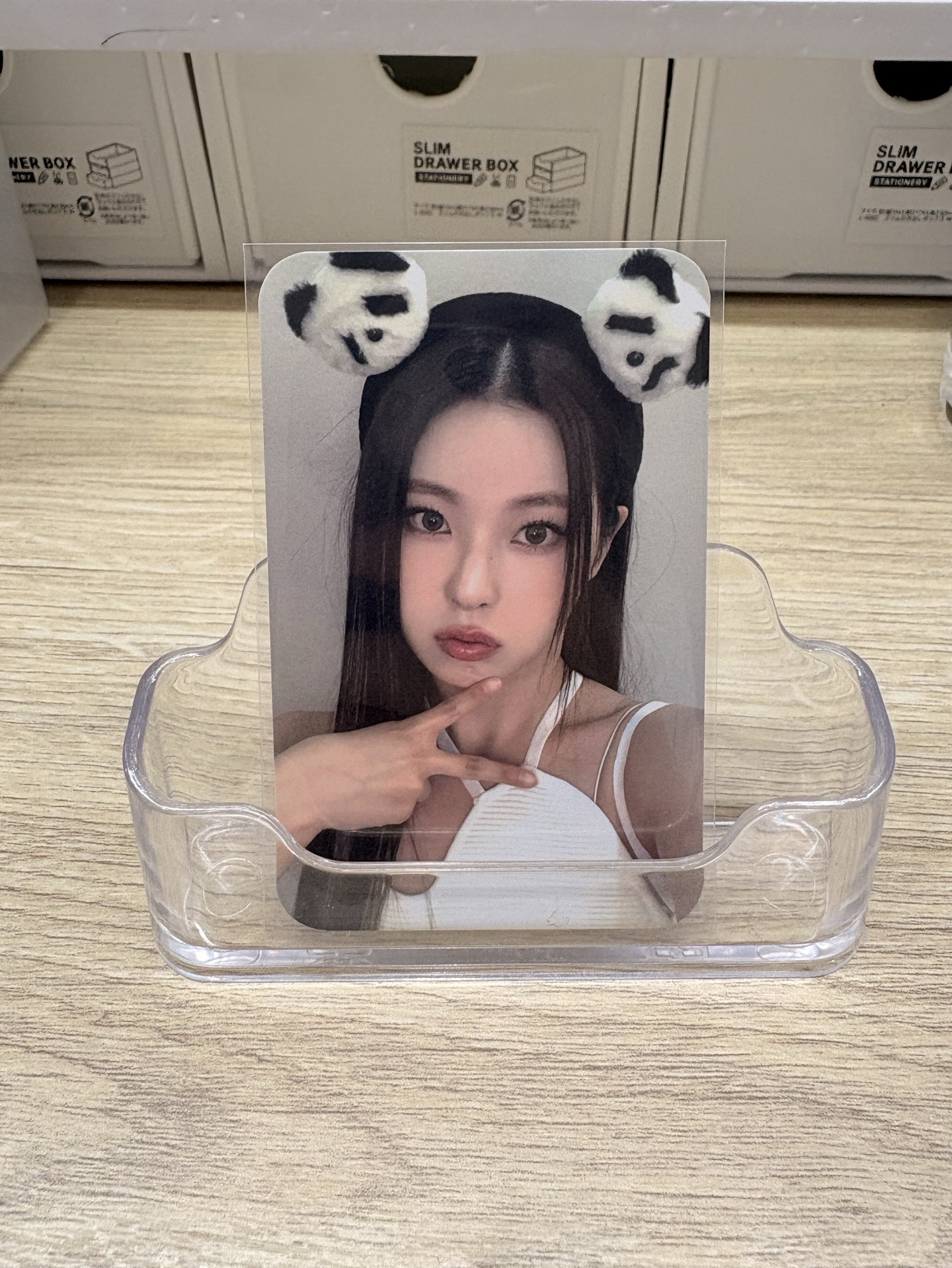 仲夏夜 楠藝 簽售卡 熊貓