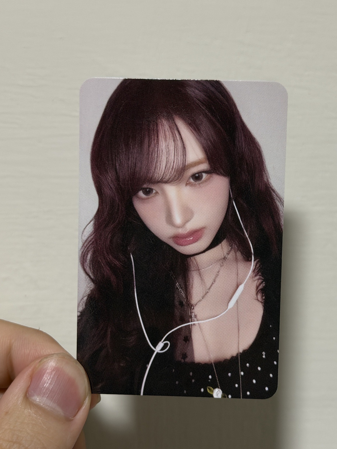 船特栗（現貨）