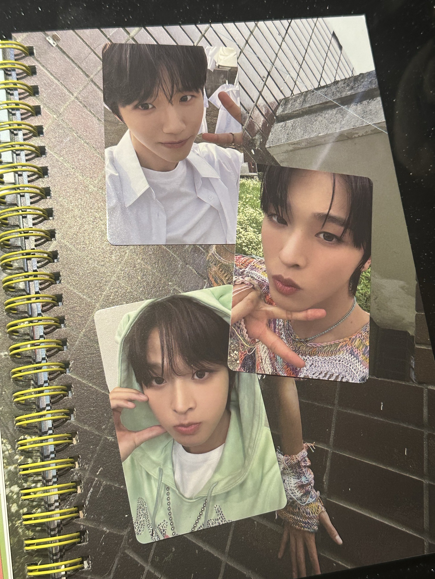 Color 專輯卡Riku*2 +Jaehee 含原專