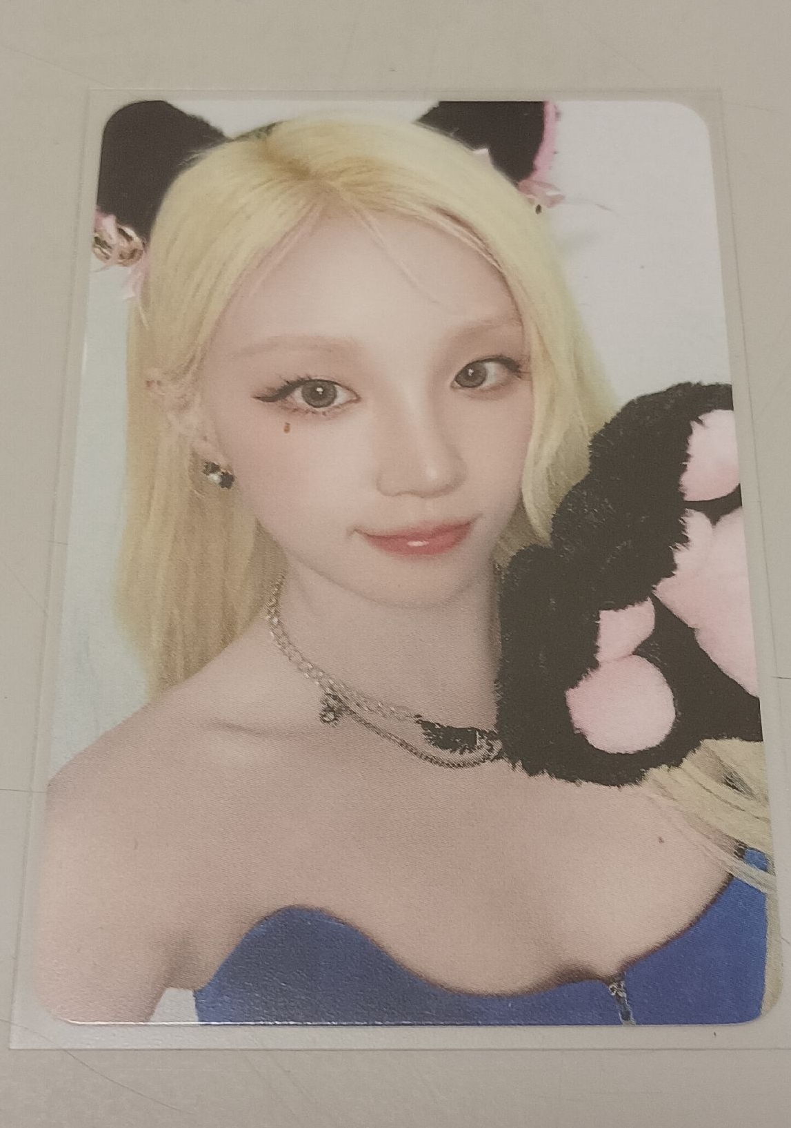 琦迷八貓爪特典(100)