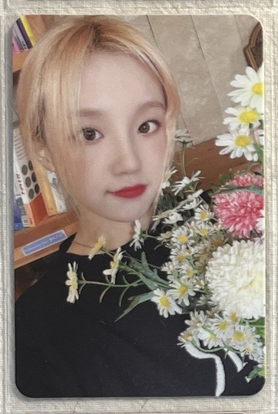 i-dle｜雨琦迷五特典 / 捧花琦💐