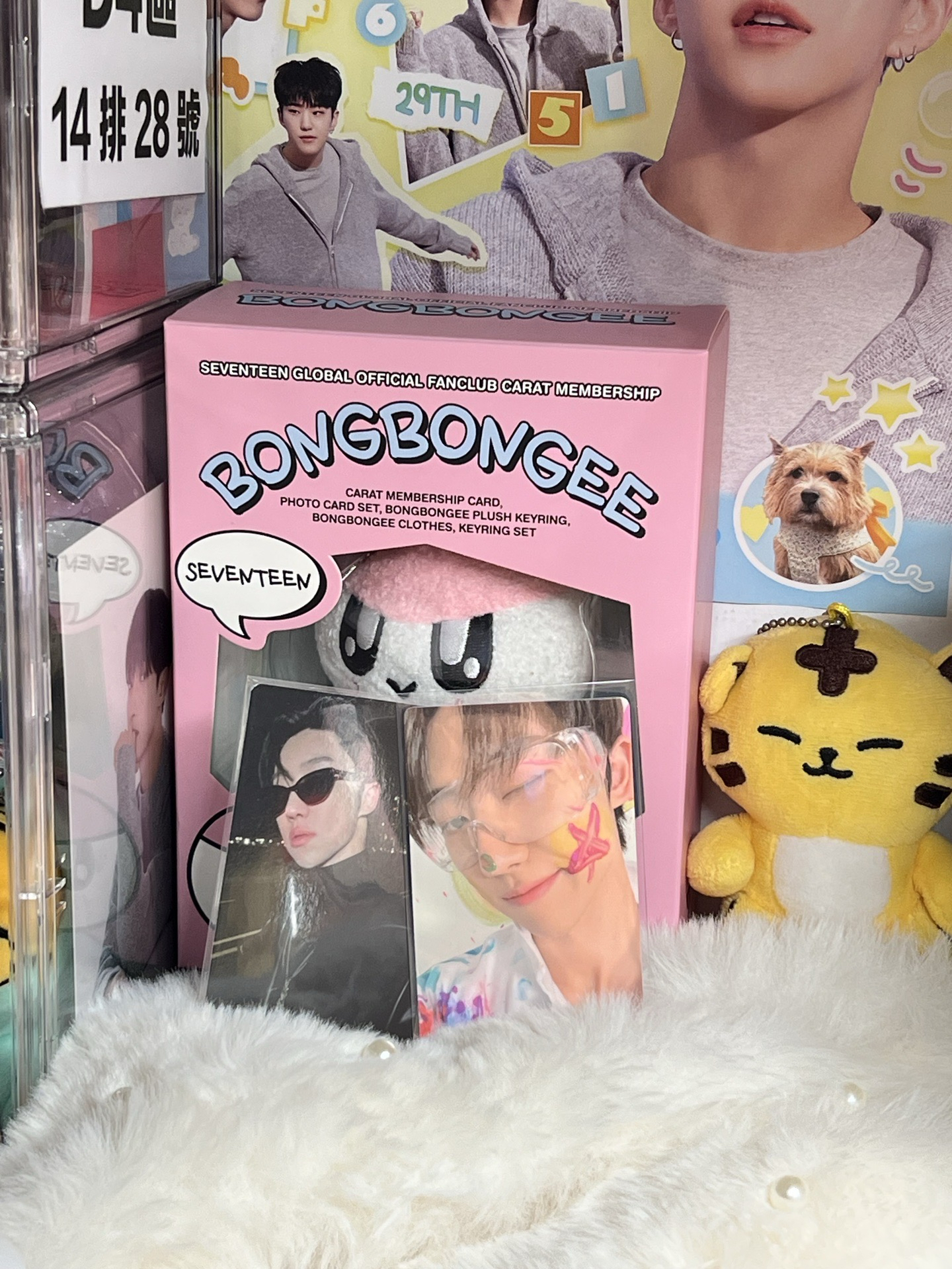 the 8🐸星星八 正四克拉盤專卡