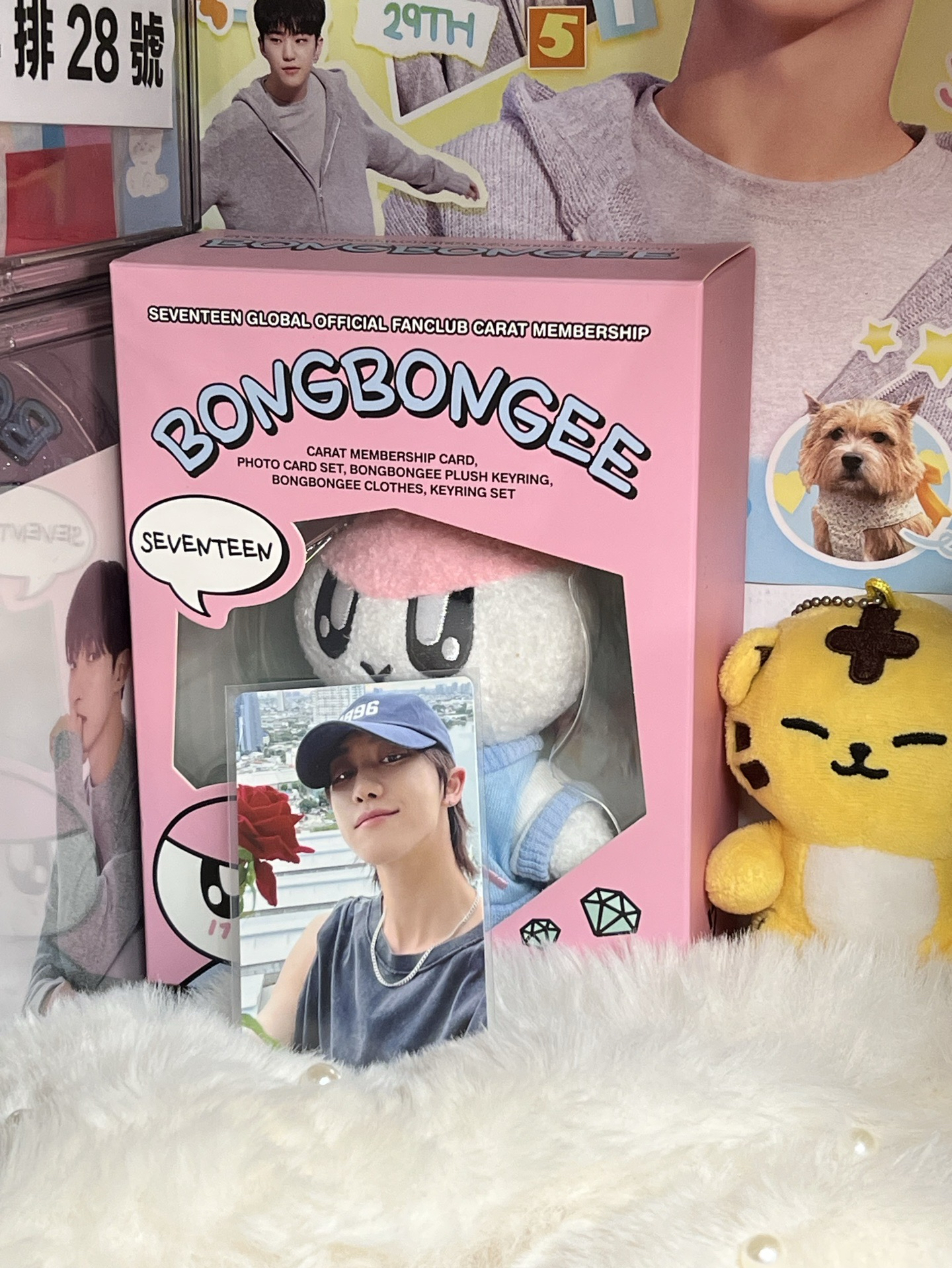 the 8🐸mini12 kit專卡