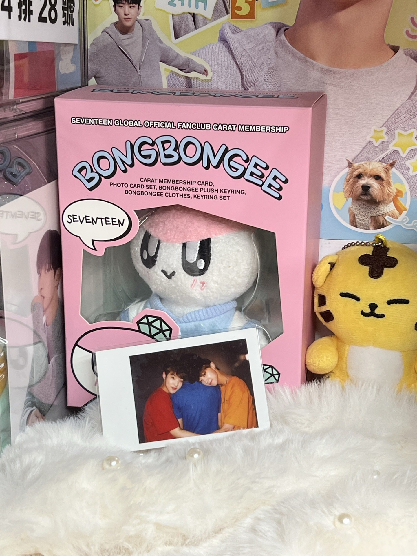 SVT HOSHI WONWOO THE8💎早期拍立得