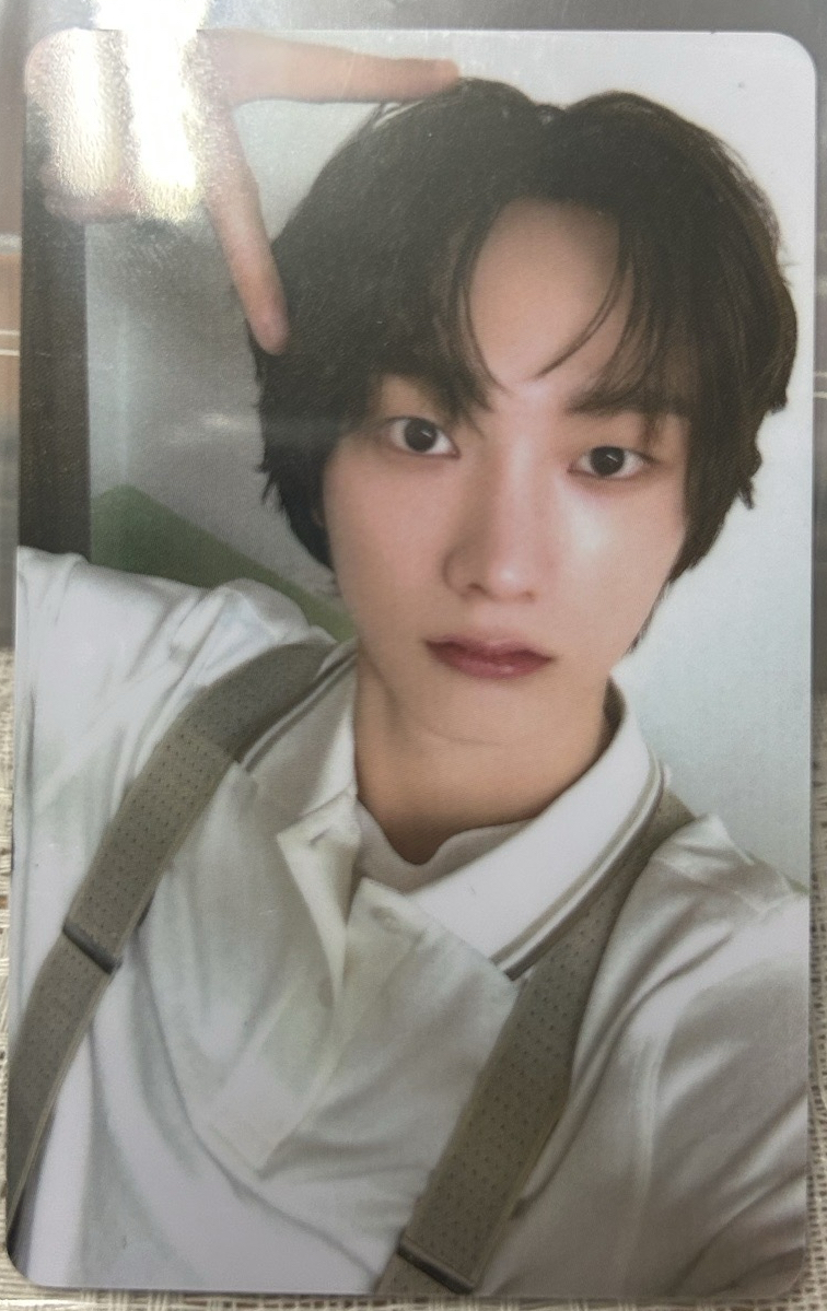 我有一隻小貓咪