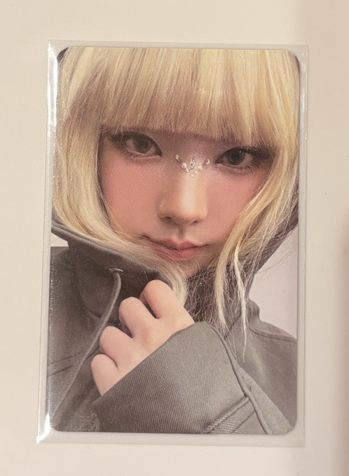 金髮豬包柚❣️