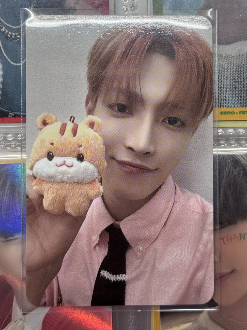 紙片們（可以當綁）