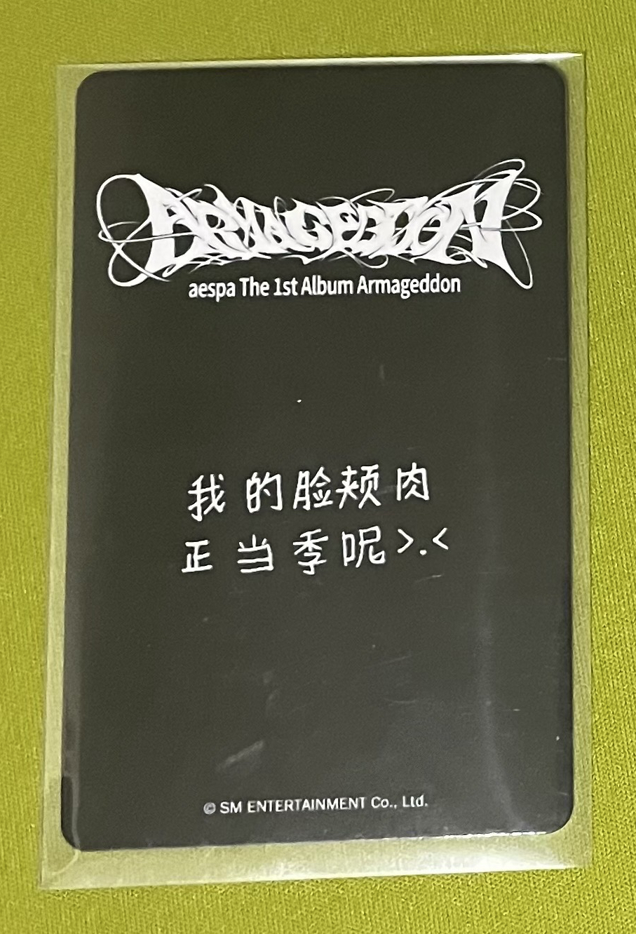 正規一 kms 特典卡 預售v2冬 （中背）