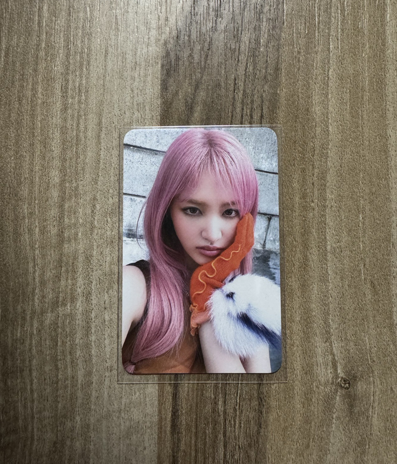 牙齒痛粉髮熱狗栗