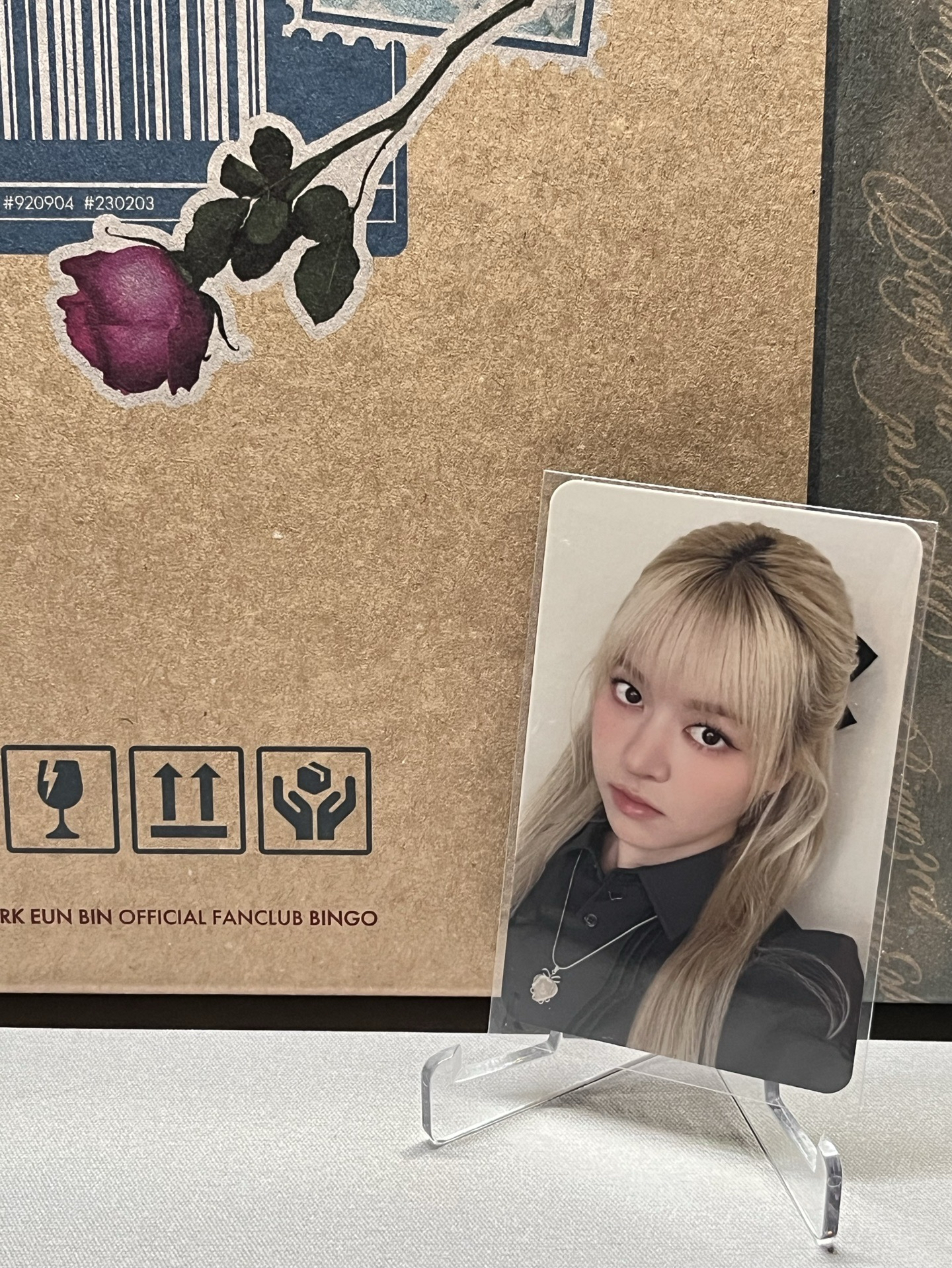 ms 25.0 台北合影 莉