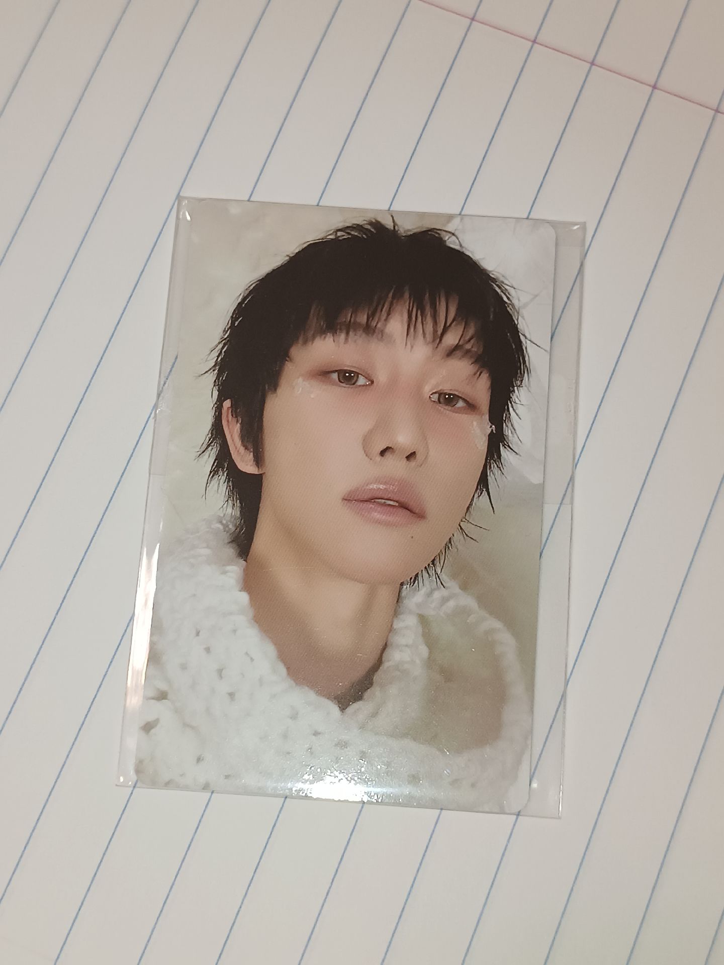 正五 wvs特典 八