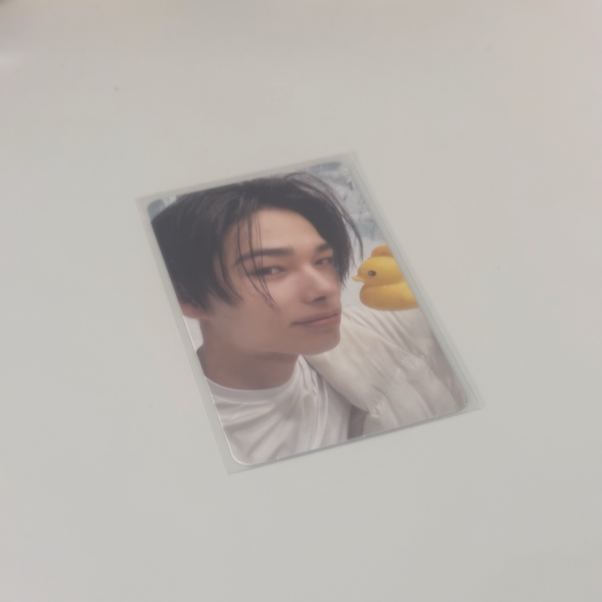 ROMANCE : UNTOLD -daydream- 專卡 niki