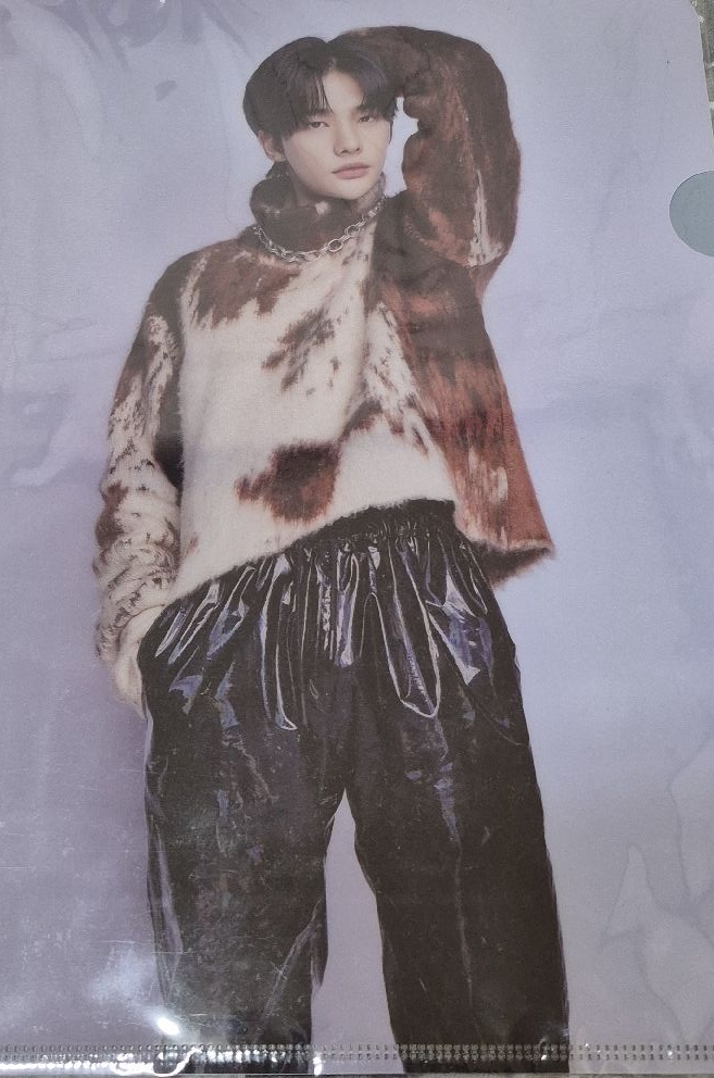 迷孩 辰 D社資料夾