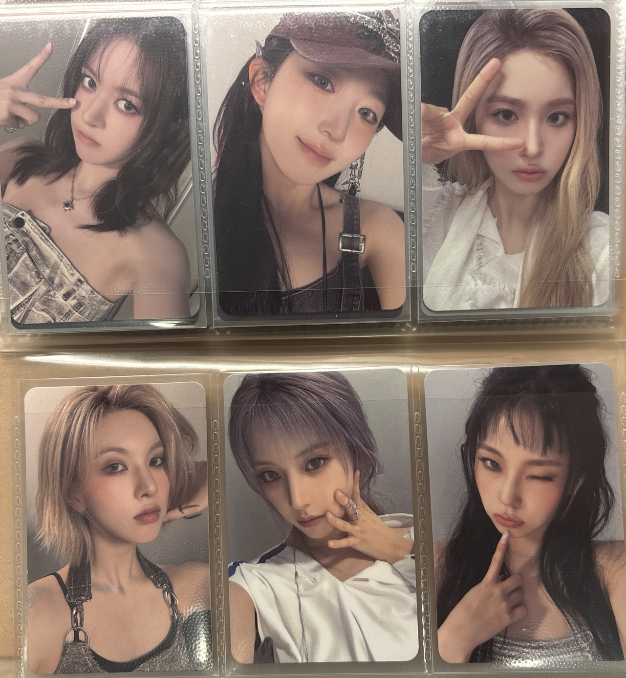 六個漂亮寶貝✨