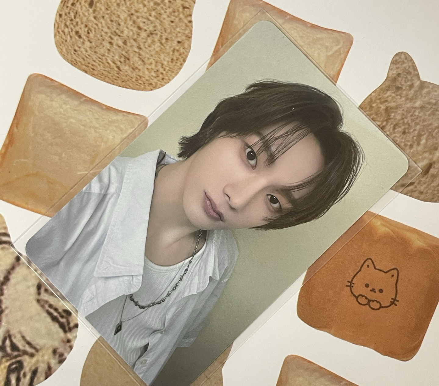 呆萌小貓自拍照一張📷