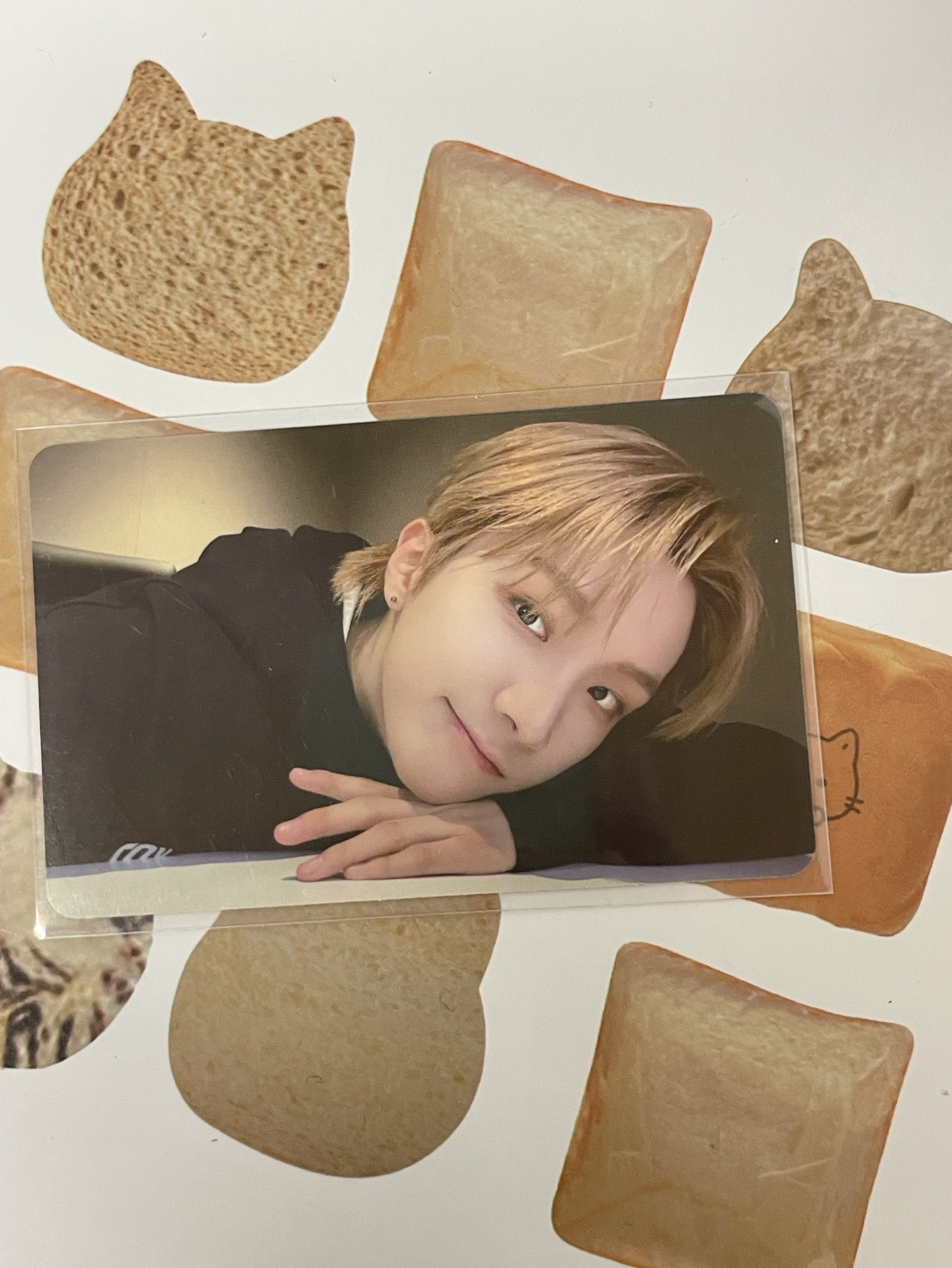 趴下 我跟你有話要說🗣️