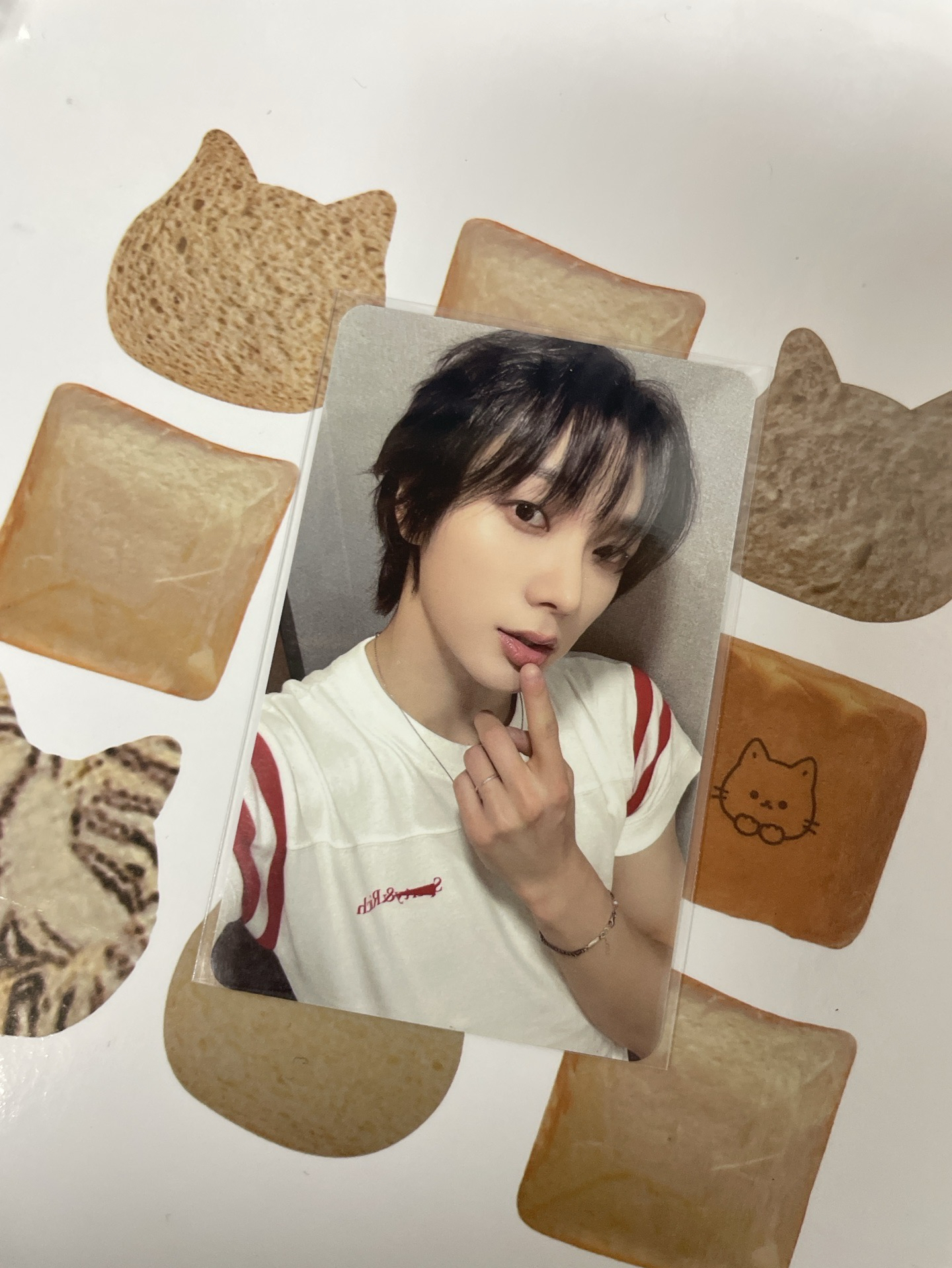 嘟嘴賣萌帥氣小貓