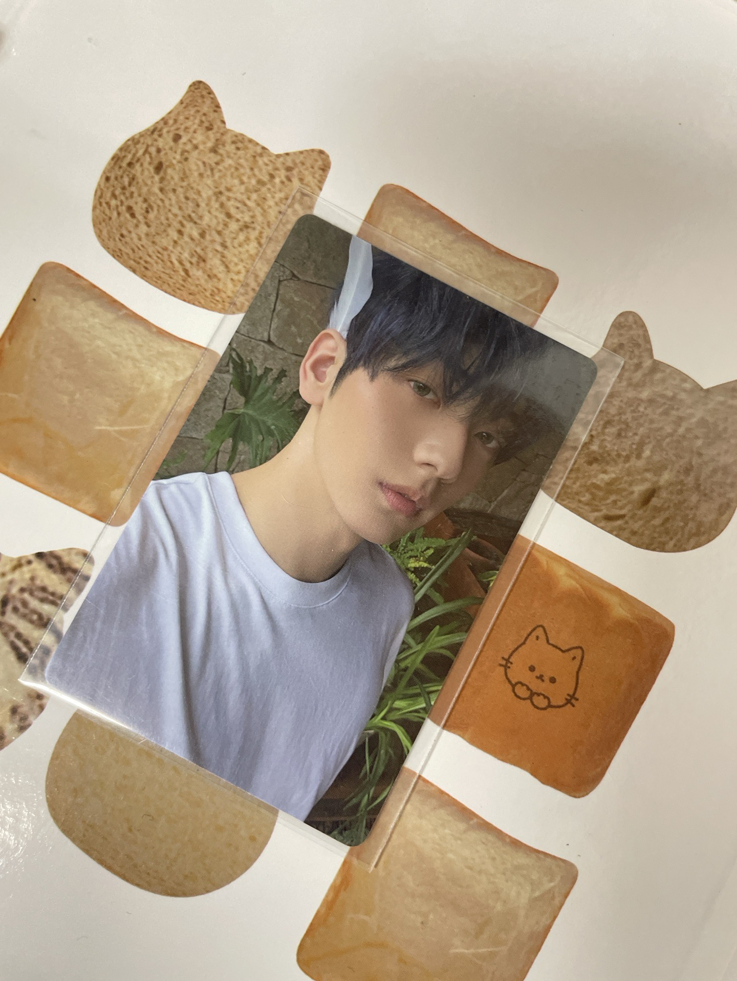 蘇冰尼太帥啦！！