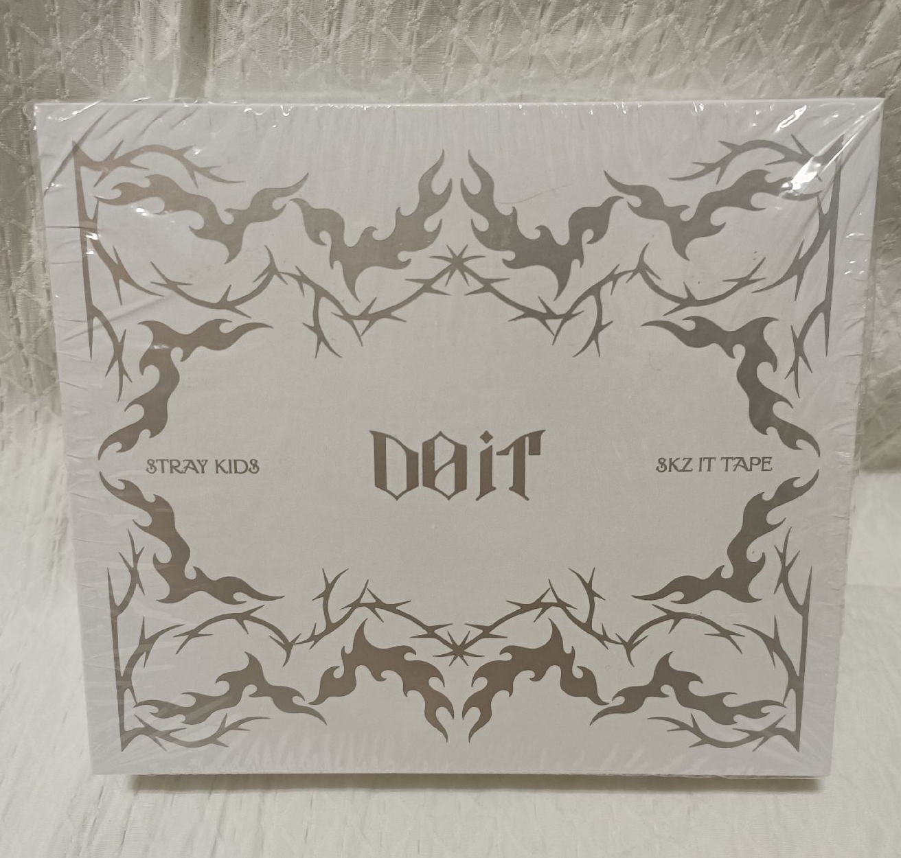 Stray kids 音響專 DO it 全專 城 闊卡