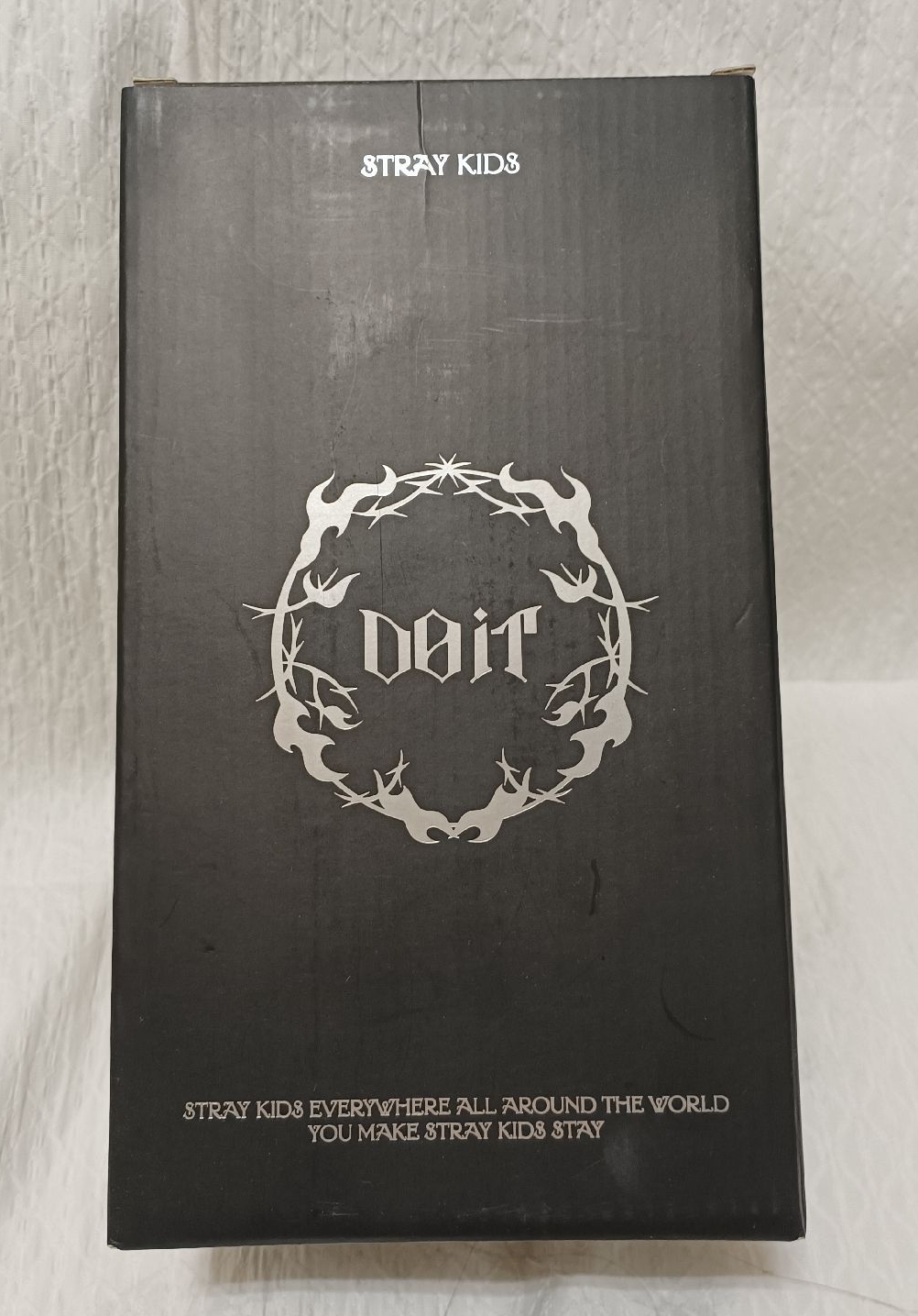 stray kids 一直娛 DO it 快閃店 全新保溫杯、水杯 Han Quokka 闊卡 城