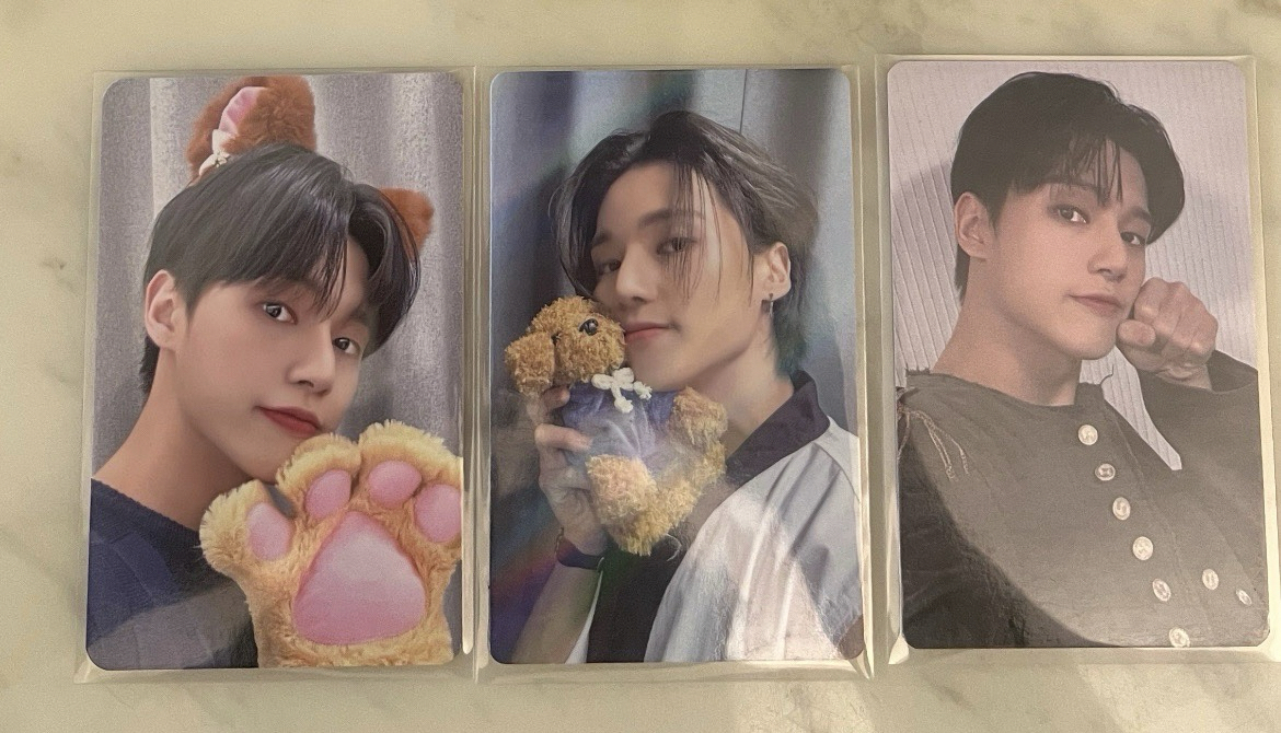 泰迪貓貓掌嗚勇小盤