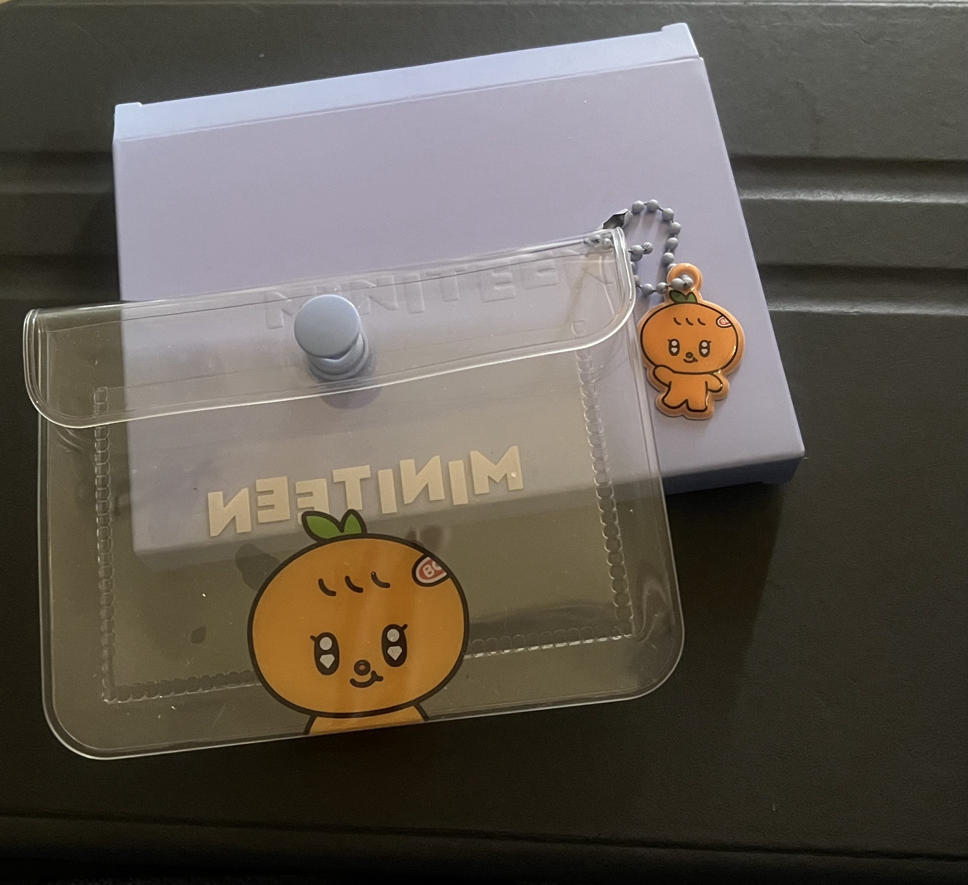 SEVENTEEN 夫勝寛 Miniteen 收納包