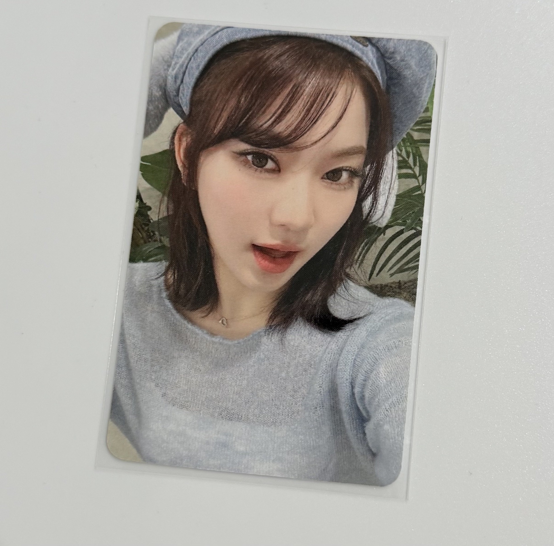 星河兔耳Isa（中文卡背）