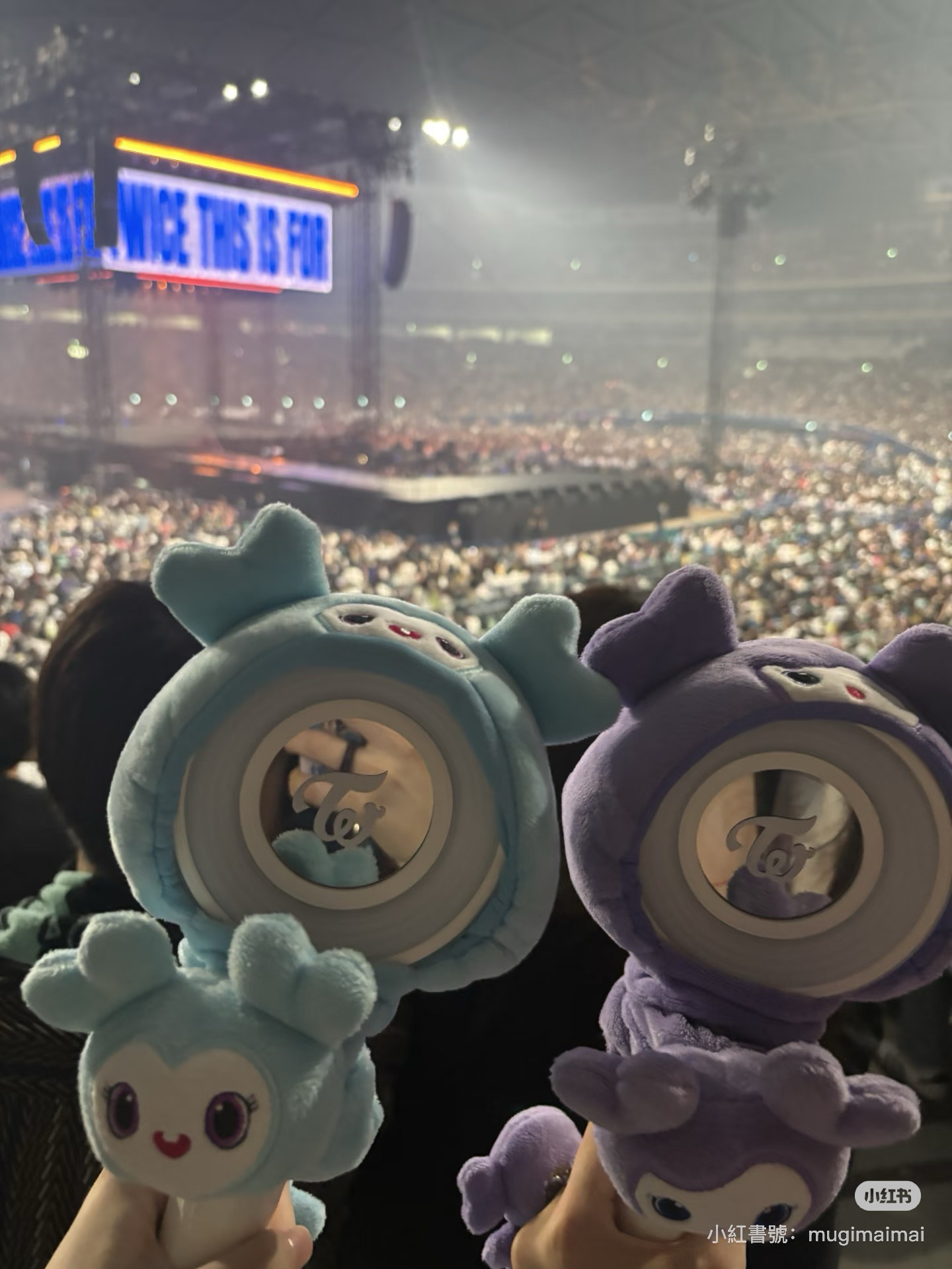 【演唱會必備】TWICE LOVELYSxGiGO 髮圈