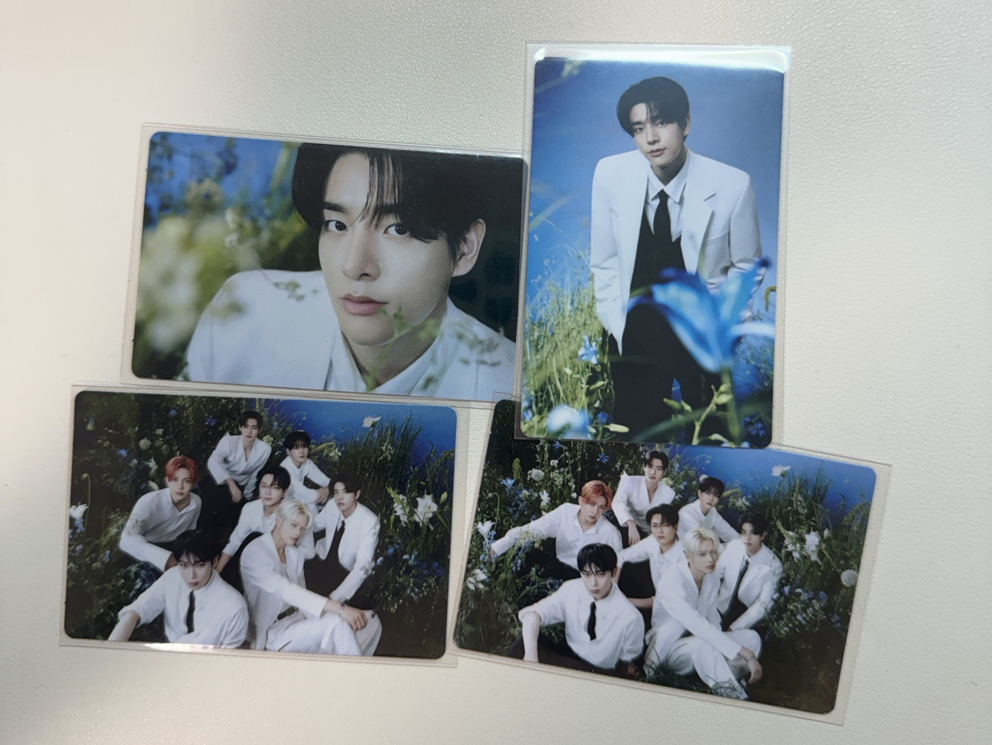 wtl安可場卡包卡