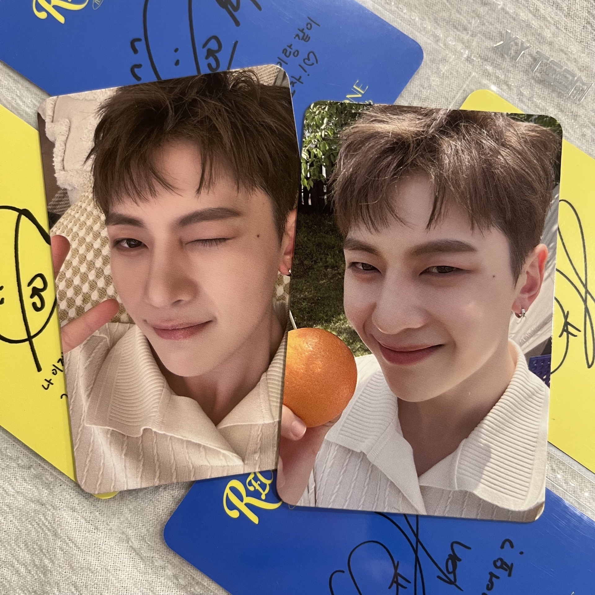 🐾二期會員禮 修