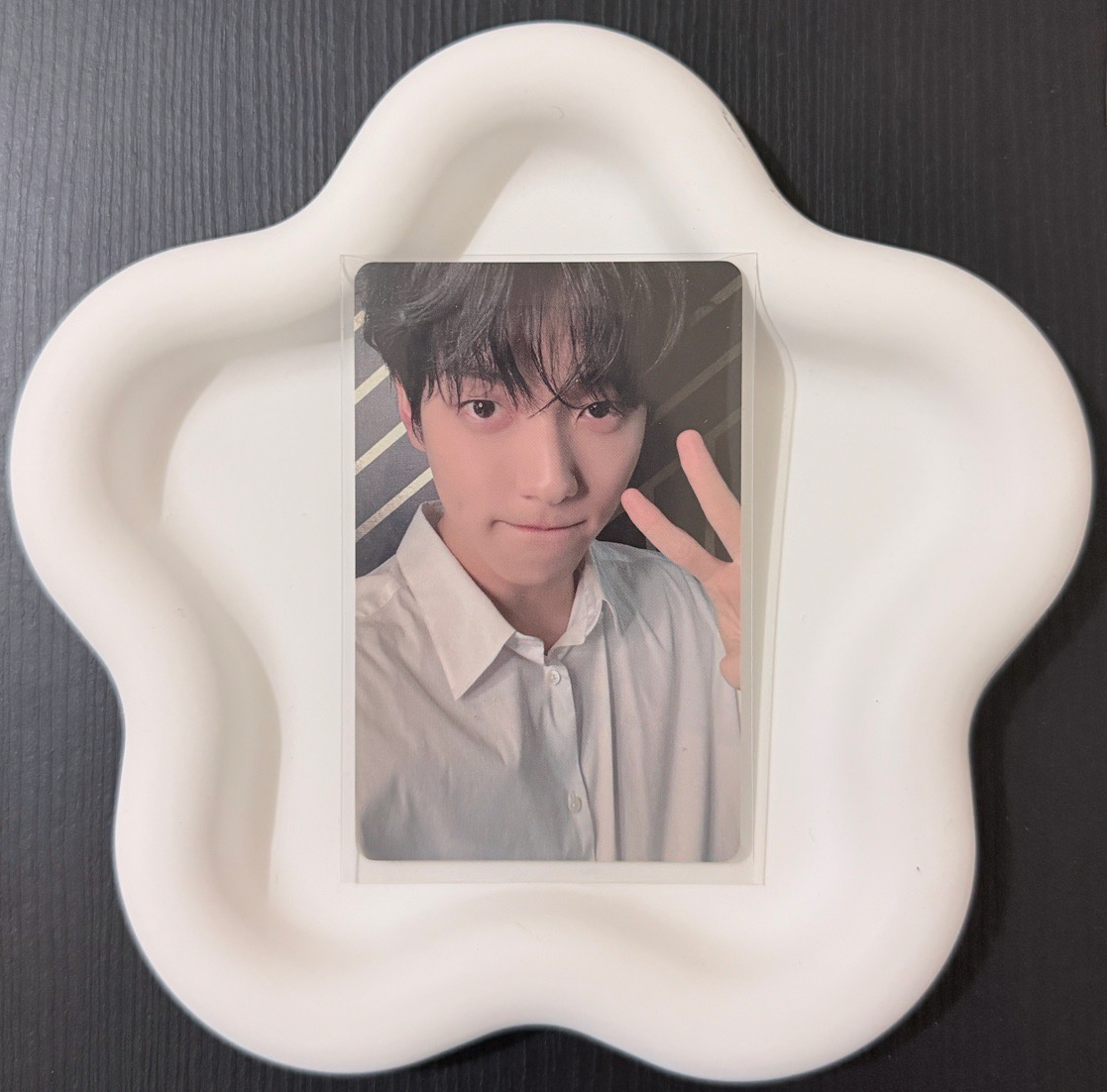 上海簽售 中背彬 兔子大王！！