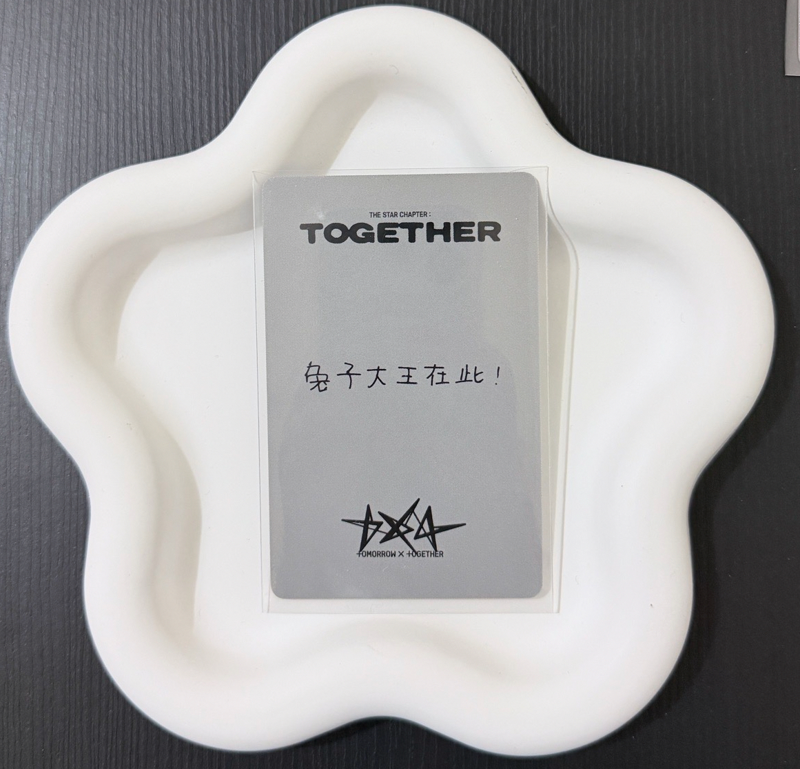 上海簽售 中背彬 兔子大王！！