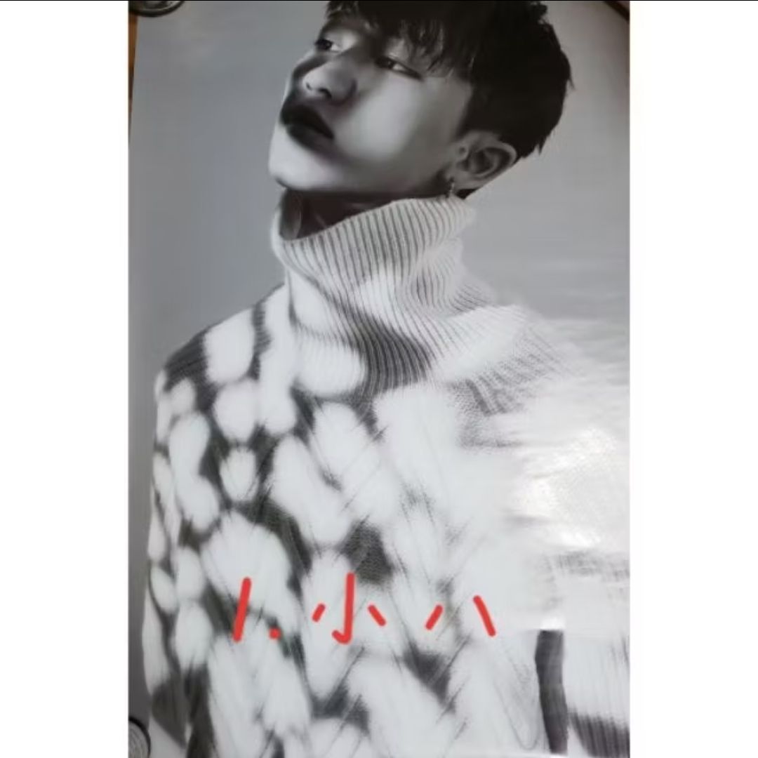 SEVENTEEN 17 摺疊海報 小八 The8 韓率 Vernon 勝寬