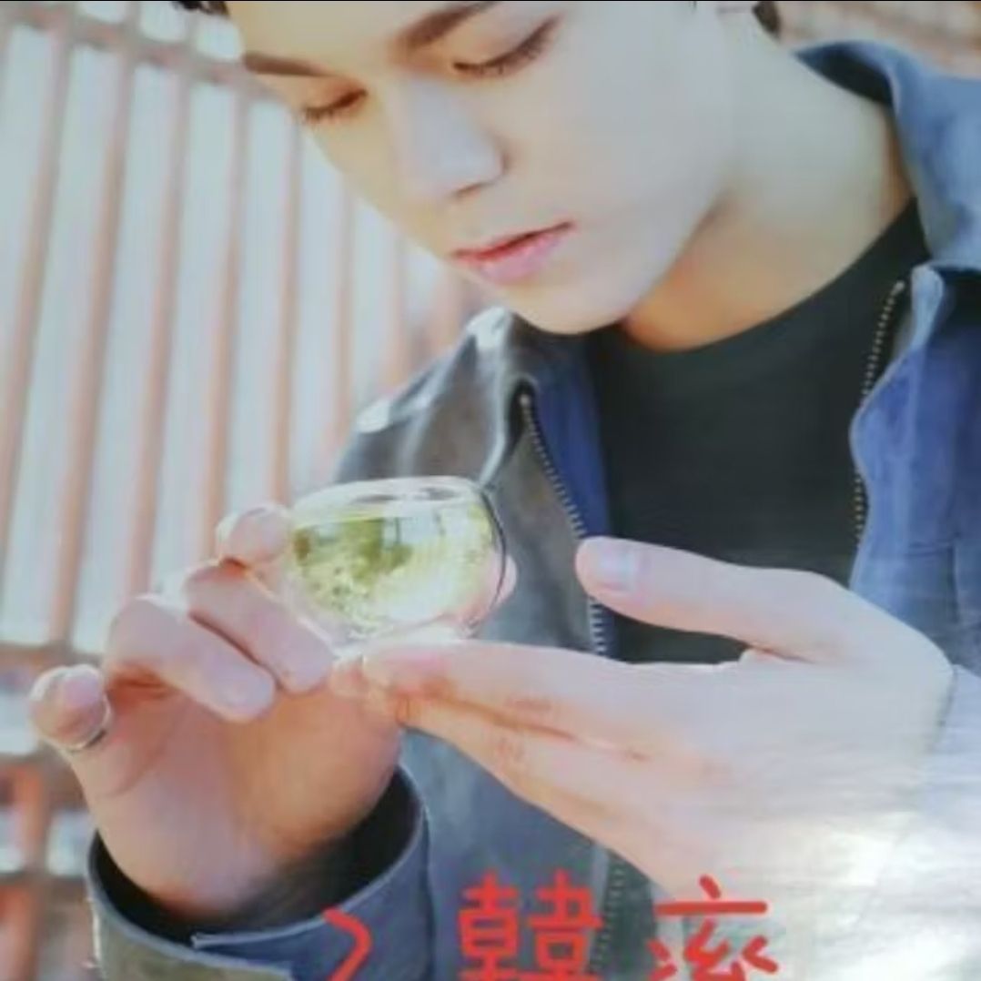 SEVENTEEN 17 摺疊海報 小八 The8 韓率 Vernon 勝寬