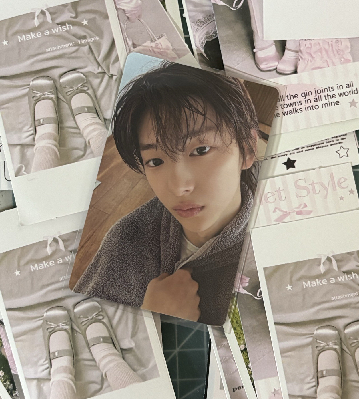 含情脈脈的豬豬