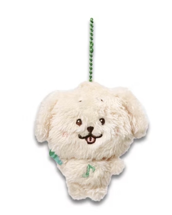 全新預購非現！可等再下單，請勿取消