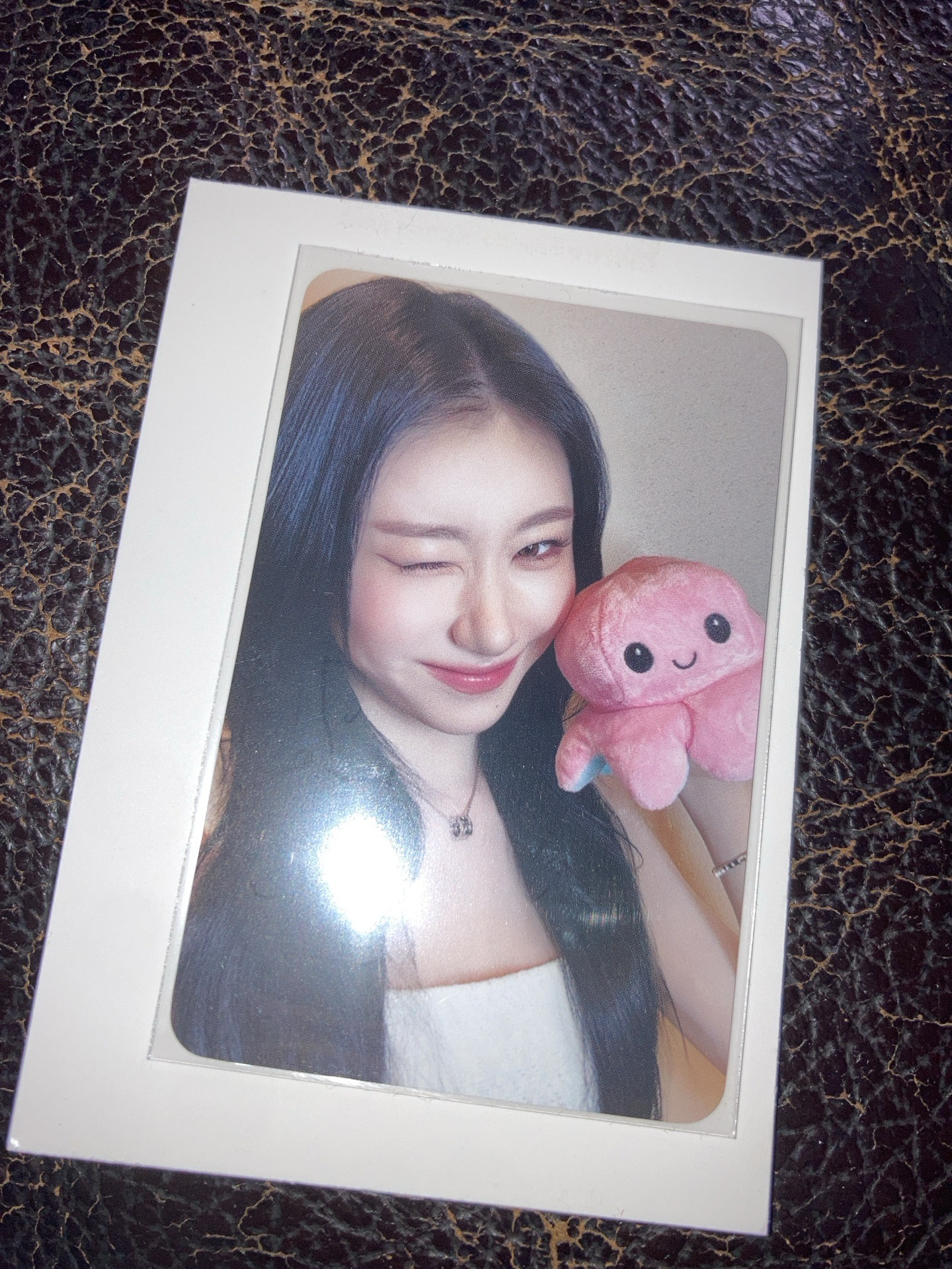 itzy 領 ms 雙面章魚