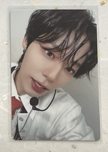 2023世巡 演唱會 DVD / CD 卡 