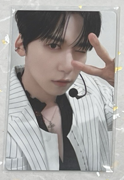 2023世巡 演唱會 DVD / CD 卡 