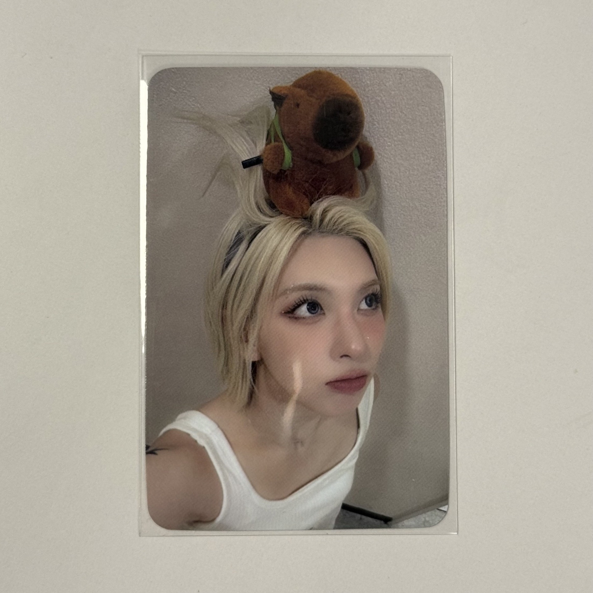 STICK OUT sw 線上 4.0 簽售卡 頭上有什麼