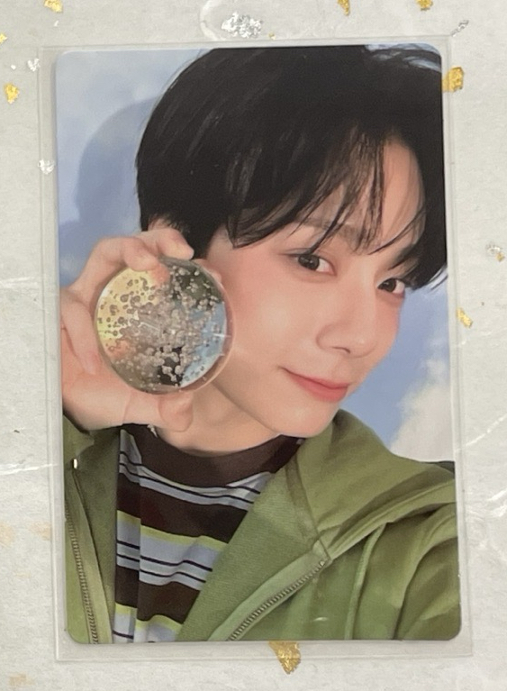 2026年曆 Bizent 預購 特典卡 